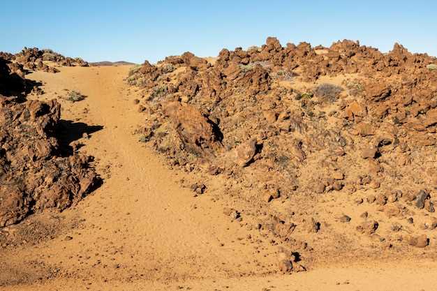 Диагноз 'ненужные зерна': песчаная депозиция в почках